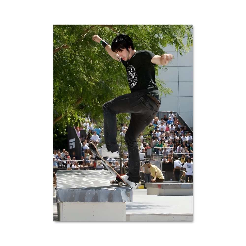 Poster Trickster au Skatepark – affiche Skateboard